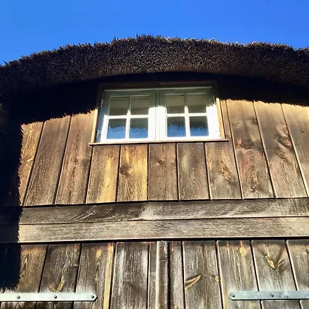 Hof Luecke - Blau *